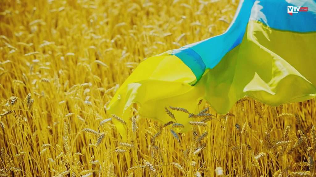 Il grano dell'Ucraina va ai Paesi ricchi