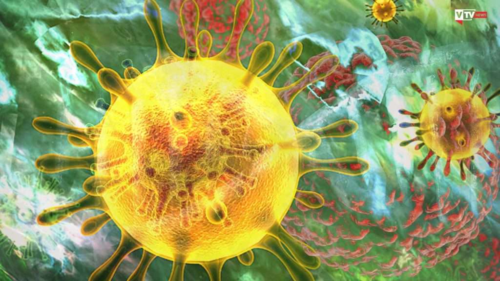 Marburg virus dalla Guinea