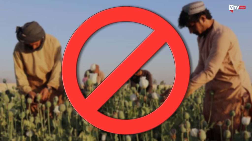 In Afghanistan, i talebani sono riusciti a ridurre ai minimi termini la coltivazione di papaveri da oppio, dai quali si ricava l'eroina.